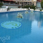 Düğün Organizasyon